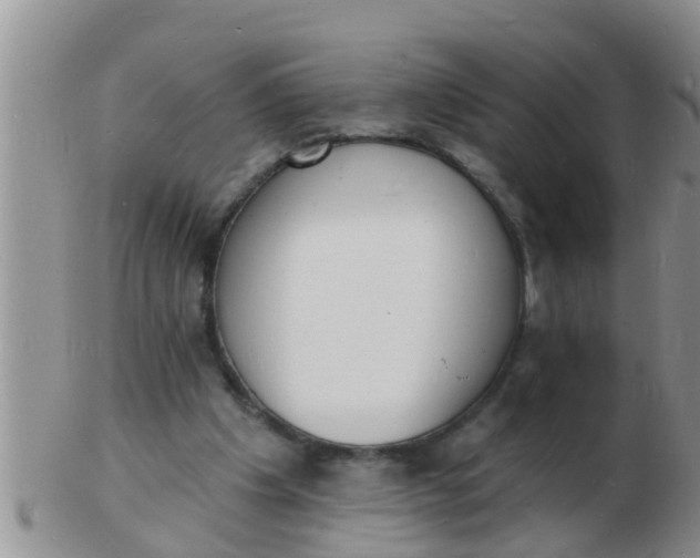 X0000103300201200809122037