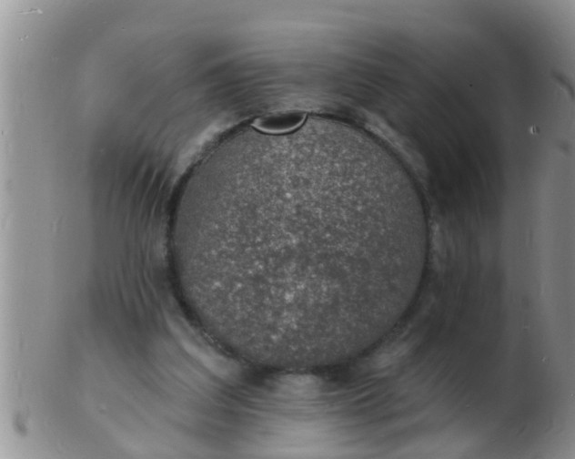 X0000103300203200809122037