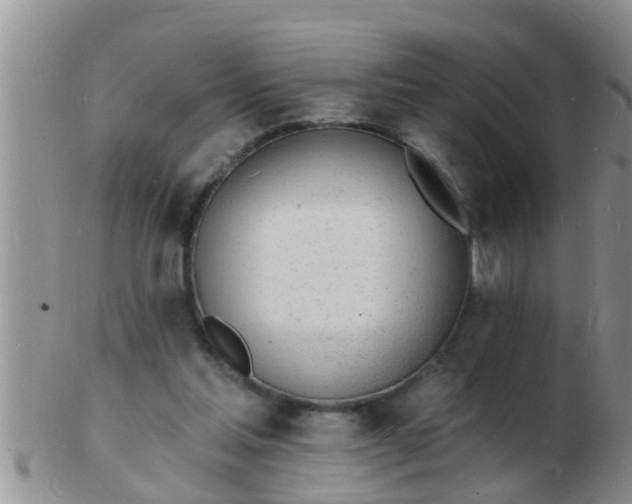 X0000103300205200809122037