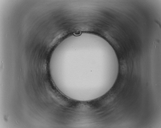 X0000103300207200809122037