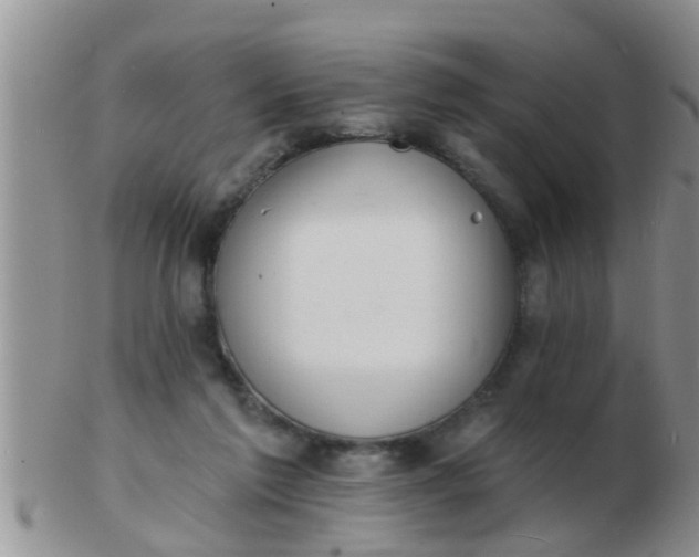 X0000103300213200809122037