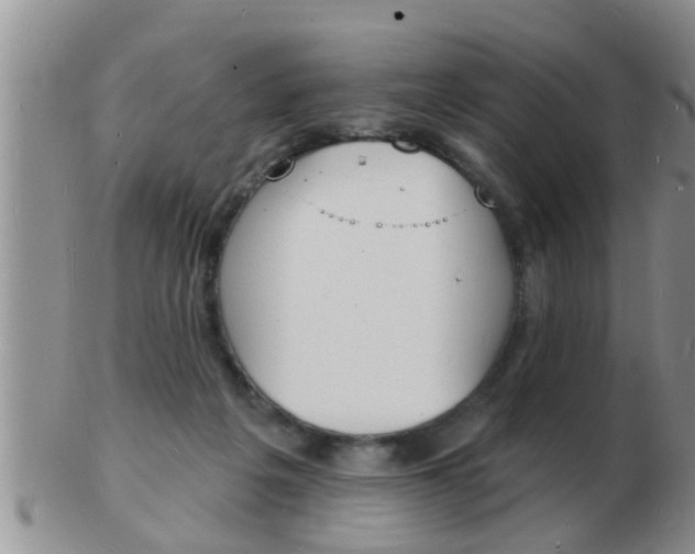 X0000103300217200809122037