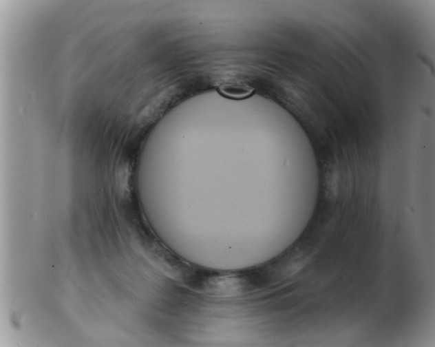 X0000103300219200809122037