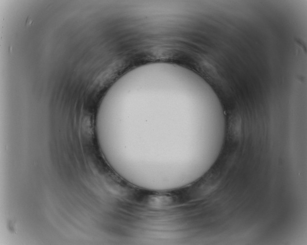 X0000103300220200809122037