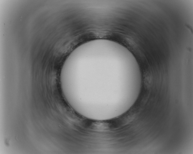 X0000103300221200809122036