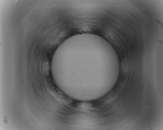 X0000103300223200809122036