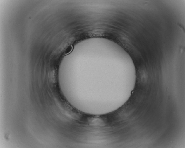 X0000103300224200809122036