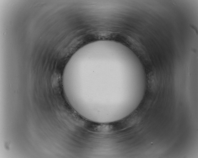 X0000103300225200809122036