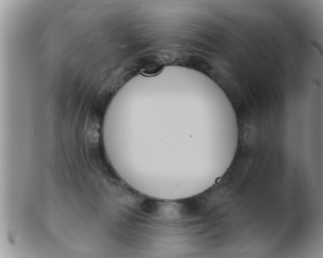 X0000103300226200809122036