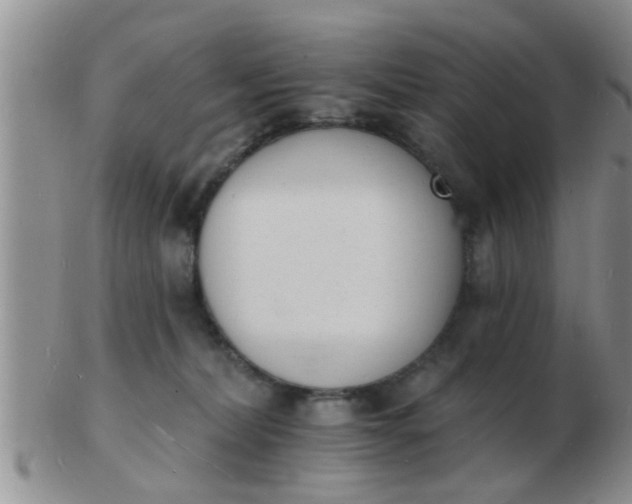 X0000103300228200809122036