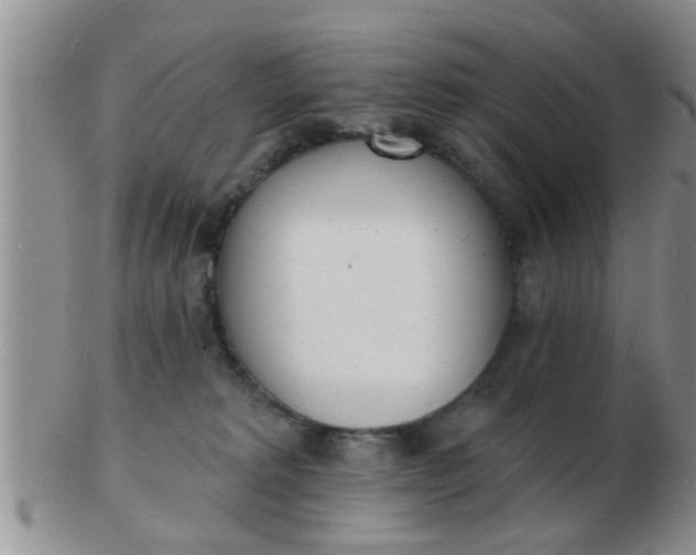 X0000103300229200809122036