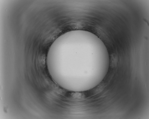 X0000103300230200809122036