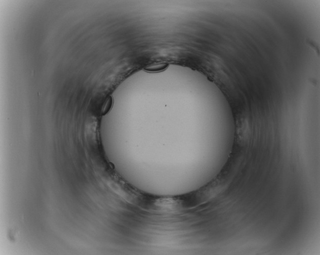 X0000103300231200809122036