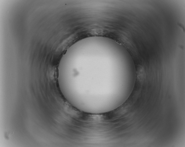 X0000103300233200809122036