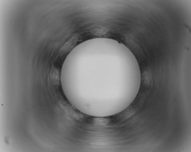 X0000103300234200809122036