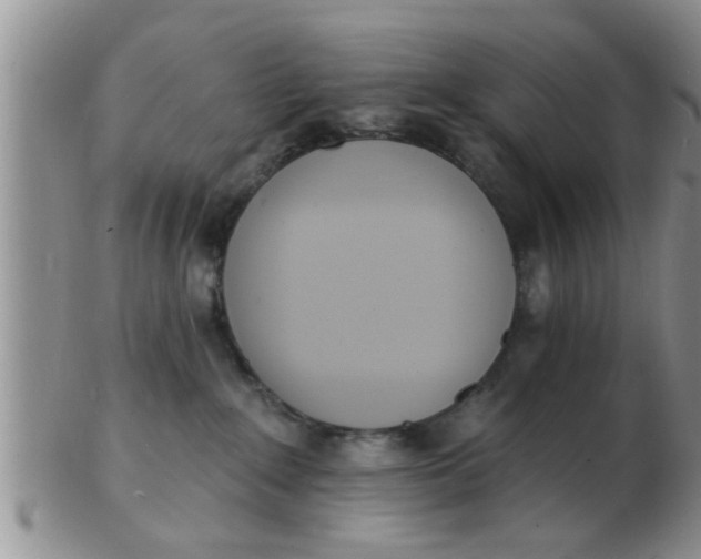 X0000103300235200809122036