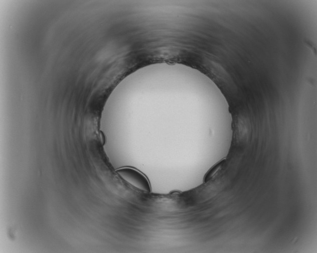 X0000103300236200809122036