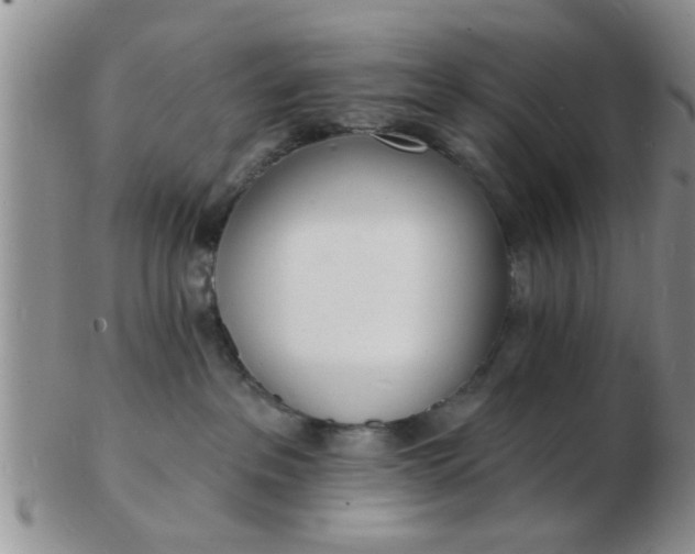 X0000103300237200809122036