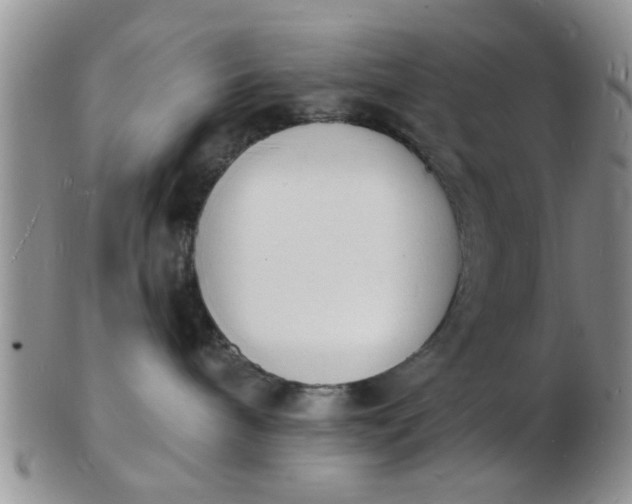 X0000103300240200809122036