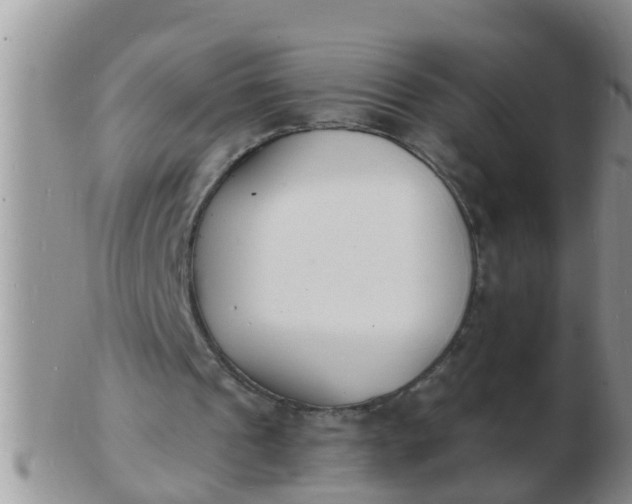 X0000103300241200809122036