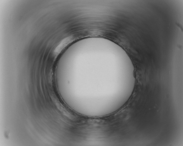 X0000103300242200809122036