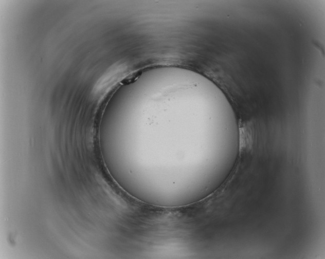 X0000103300243200809122036