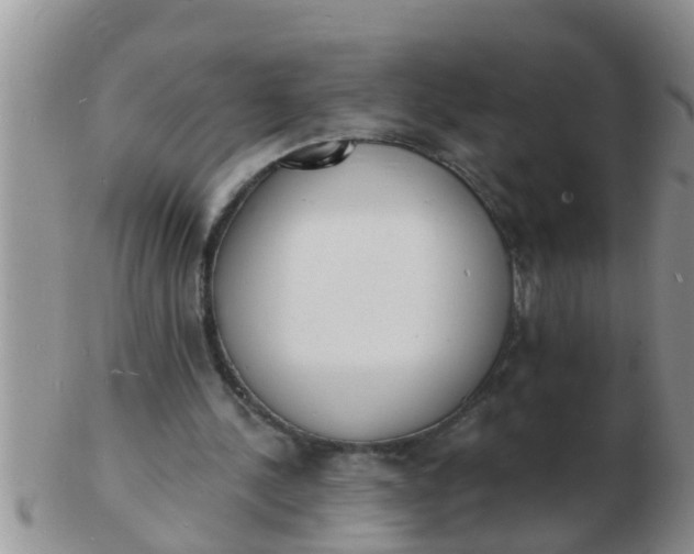 X0000103300244200809122036