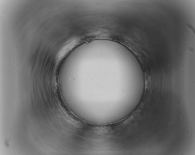 X0000103300245200809122036