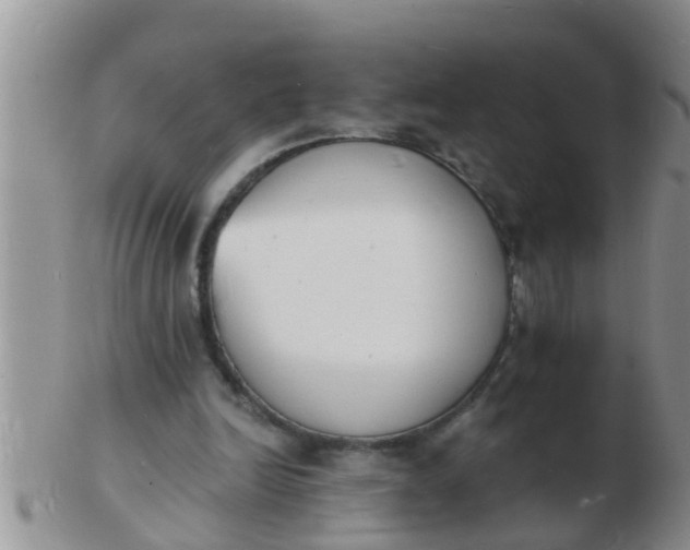 X0000103300246200809122036