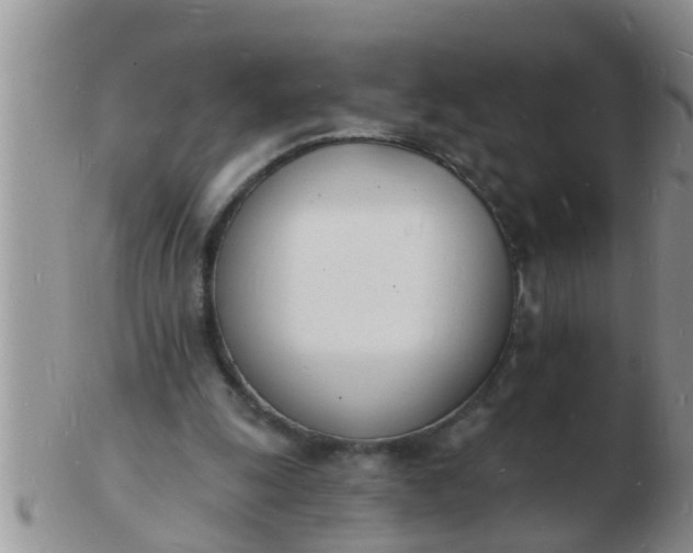 X0000103300247200809122036