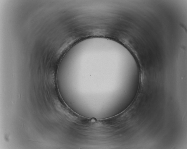 X0000103300249200809122036