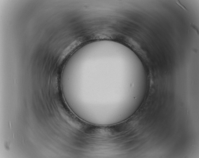 X0000103300250200809122036