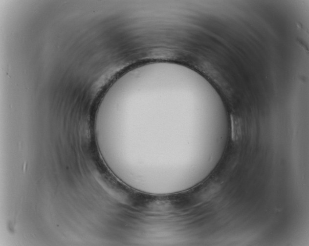 X0000103300252200809122036