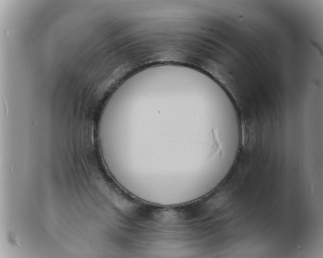 X0000103300253200809122036