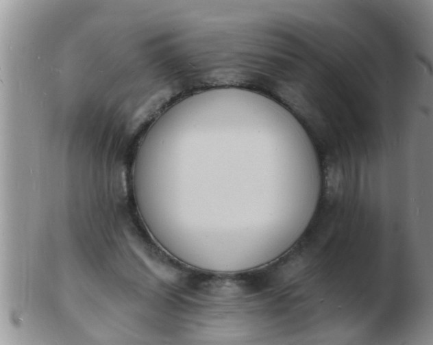 X0000103300254200809122036