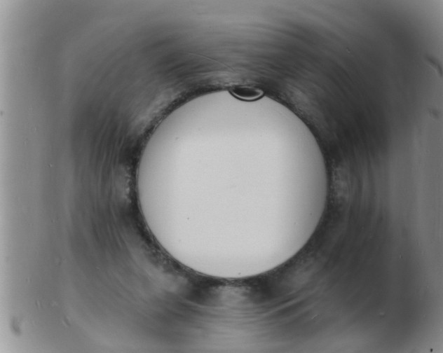 X0000103300255200809122036