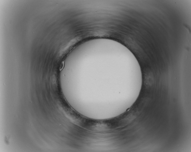 X0000103300256200809122036