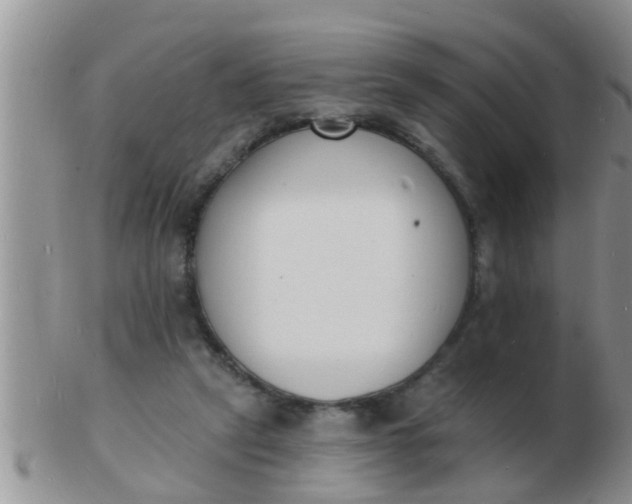 X0000103300257200809122036