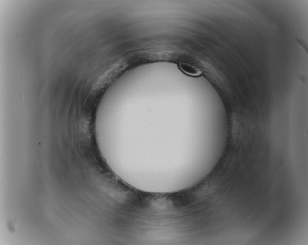 X0000103300258200809122036