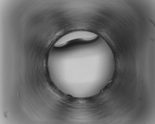 X0000103300260200809122036