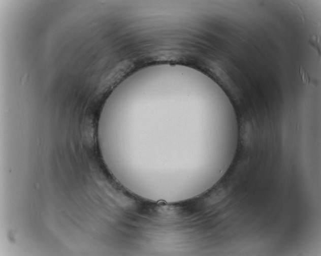 X0000103300261200809122036