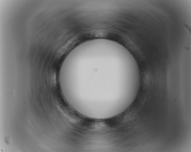 X0000103300262200809122036