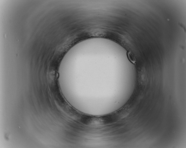 X0000103300263200809122036