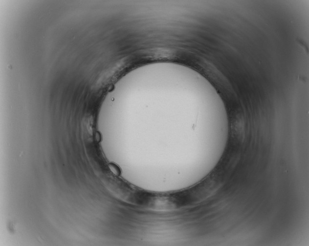 X0000103300264200809122036