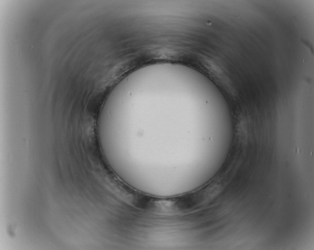 X0000103300265200809122036