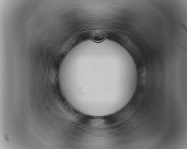 X0000103300266200809122036