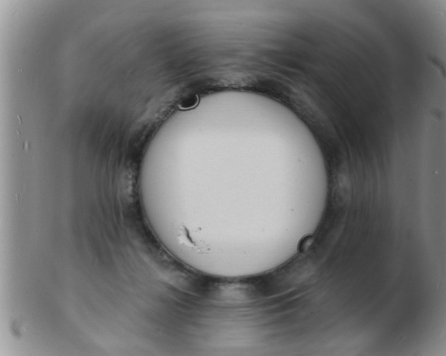 X0000103300268200809122036