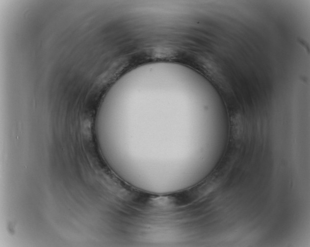 X0000103300269200809122036