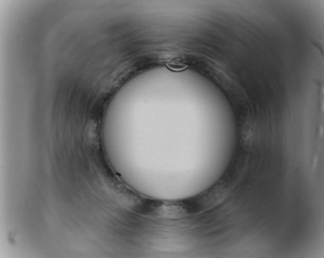 X0000103300270200809122036