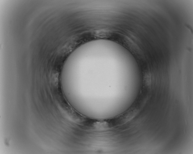 X0000103300271200809122036